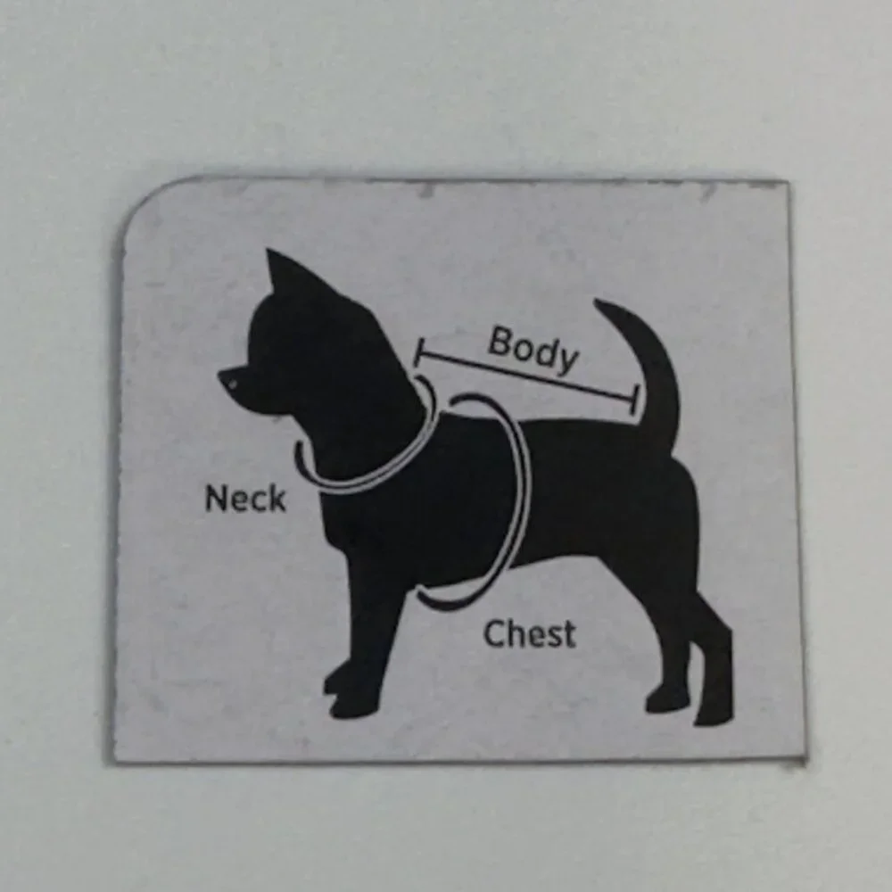 Novelty Pet Halloween Tee Medium 